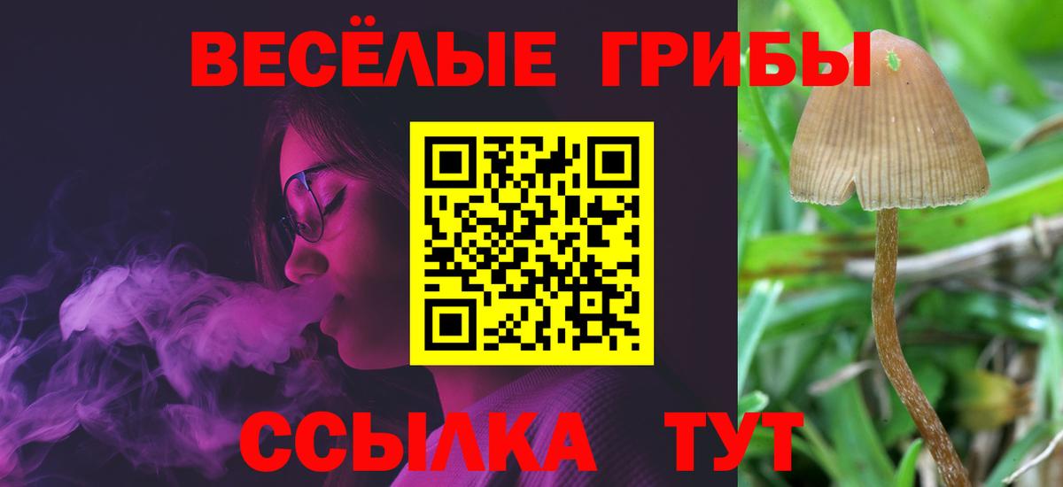 Городец  Галлюциногенные грибы Psilocybine cubensis  Вход с VPN 